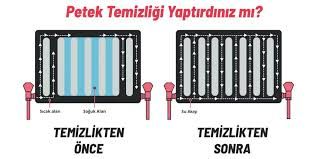 Petek Temizliği Nedir